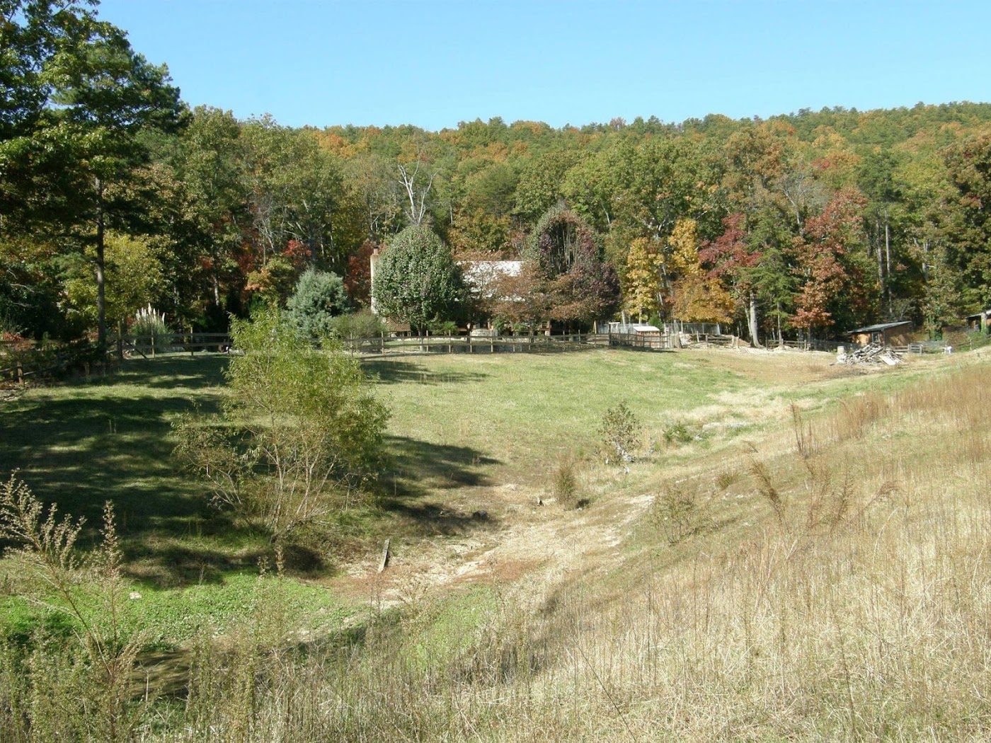 Green pastures and woods around the farm